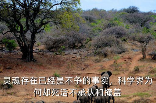 靈魂存在已經(jīng)是不爭的事實，科學(xué)界為何卻死活不承認和掩蓋