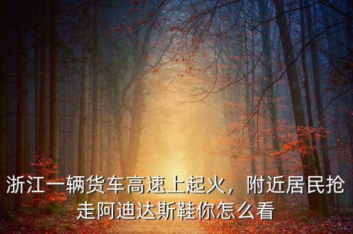 浙江一輛貨車高速上起火，附近居民搶走阿迪達(dá)斯鞋你怎么看