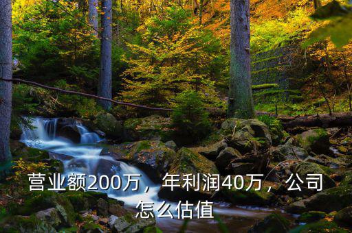 營(yíng)業(yè)額200萬(wàn)，年利潤(rùn)40萬(wàn)，公司怎么估值