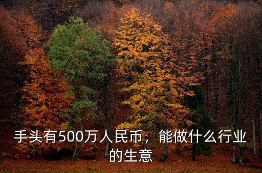 手頭有500萬人民幣，能做什么行業(yè)的生意