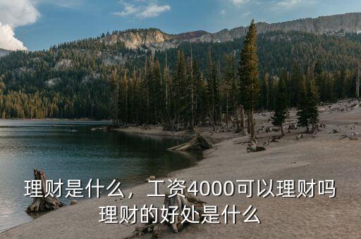 理財是什么，工資4000可以理財嗎理財?shù)暮锰幨鞘裁? class=