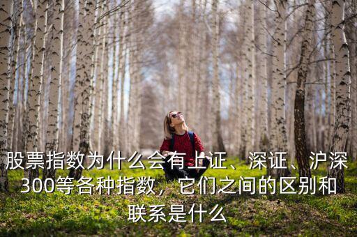 股票指數(shù)為什么會有上證、深證、滬深300等各種指數(shù)，它們之間的區(qū)別和聯(lián)系是什么