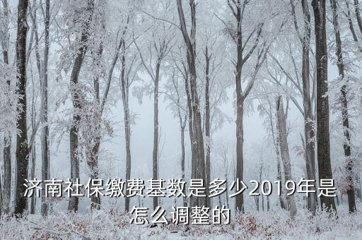 濟(jì)南社?；鶖?shù)怎么算,2019年是怎么調(diào)整的