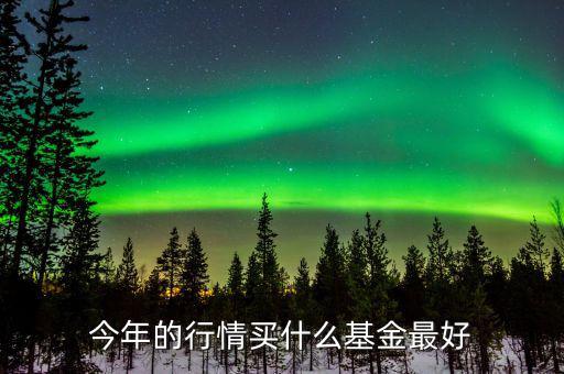 16年買(mǎi)什么基金好,買(mǎi)幾只基金比較好
