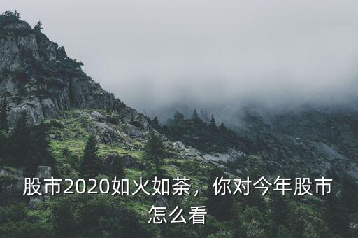 股市2020如火如荼，你對今年股市怎么看