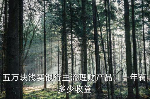 五萬塊錢買銀行主流理財(cái)產(chǎn)品，一年有多少收益