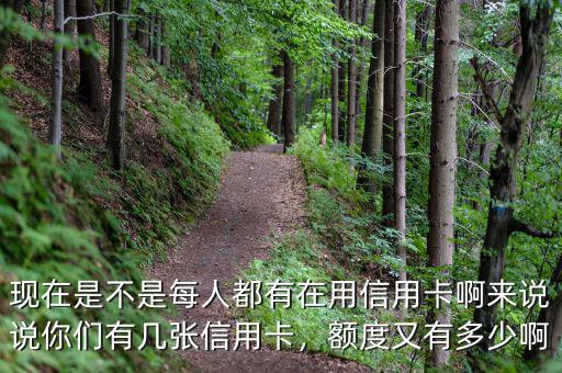 現在是不是每人都有在用信用卡啊來說說你們有幾張信用卡，額度又有多少啊