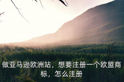 做亞馬遜歐洲站，想要注冊(cè)一個(gè)歐盟商標(biāo)，怎么注冊(cè)