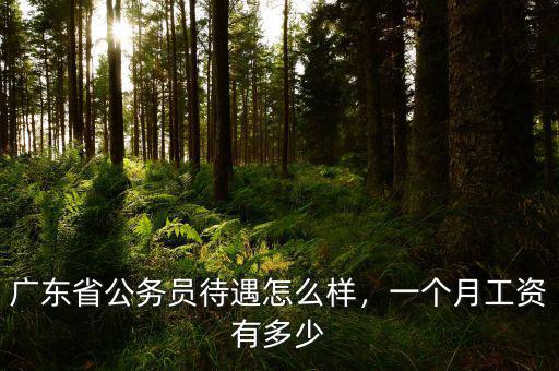 廣東省公務(wù)員待遇怎么樣，一個(gè)月工資有多少
