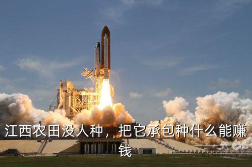 江西農(nóng)田沒人種，把它承包種什么能賺錢