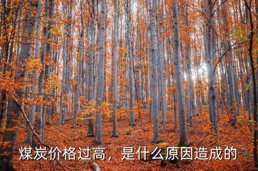 煤炭價格過高，是什么原因造成的