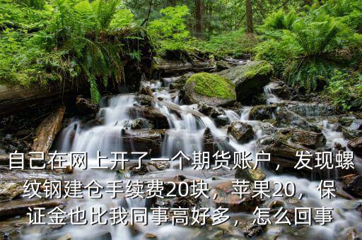 自己在網(wǎng)上開了一個期貨賬戶，發(fā)現(xiàn)螺紋鋼建倉手續(xù)費20塊，蘋果20，保證金也比我同事高好多，怎么回事