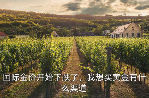 國際金價開始下跌了，我想買黃金有什么渠道