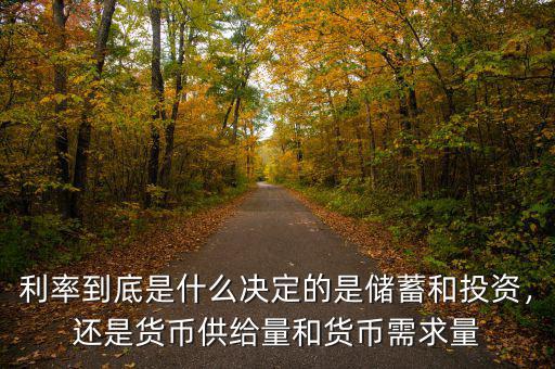 利率到底是什么決定的是儲(chǔ)蓄和投資，還是貨幣供給量和貨幣需求量