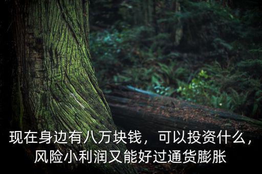 現(xiàn)在身邊有八萬塊錢，可以投資什么，風險小利潤又能好過通貨膨脹
