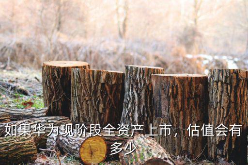 如果華為現(xiàn)階段全資產(chǎn)上市，估值會(huì)有多少