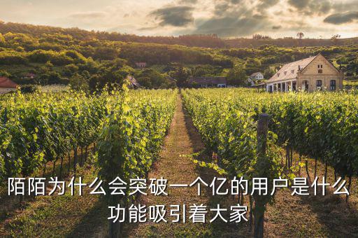 陌陌為什么會突破一個(gè)億的用戶是什么功能吸引著大家