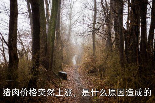 豬肉價格突然上漲，是什么原因造成的