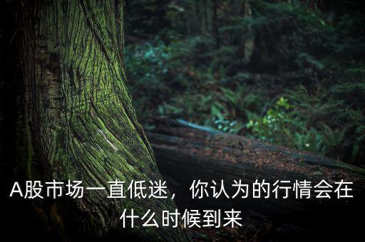 A股市場一直低迷，你認(rèn)為的行情會(huì)在什么時(shí)候到來
