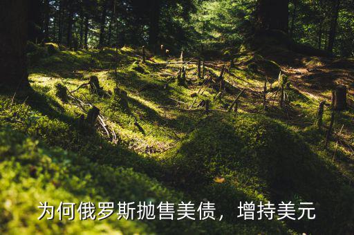 為何俄羅斯拋售美債，增持美元