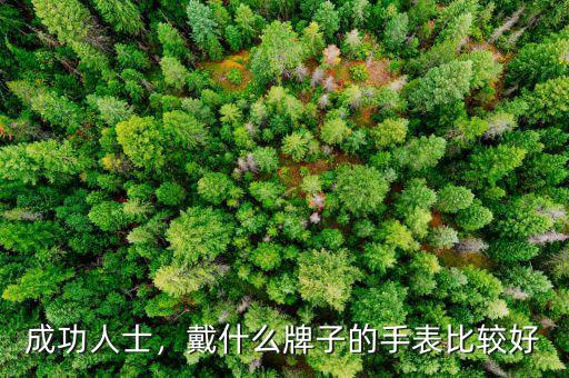 成功人士，戴什么牌子的手表比較好