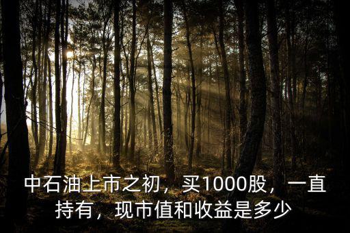中石油上市之初，買1000股，一直持有，現(xiàn)市值和收益是多少