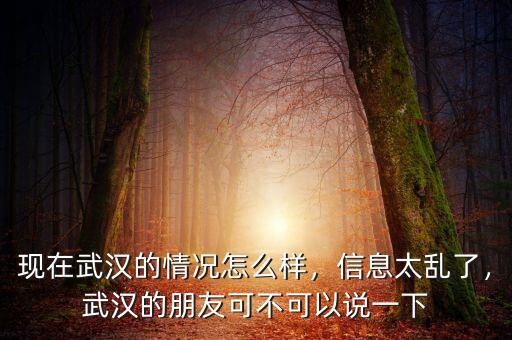 現(xiàn)在武漢的情況怎么樣，信息太亂了，武漢的朋友可不可以說一下