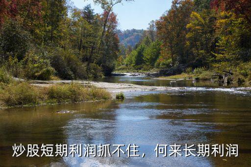 炒股短期利潤抓不住，何來長期利潤
