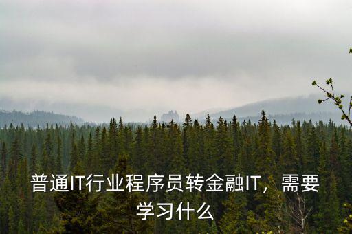 普通IT行業(yè)程序員轉(zhuǎn)金融IT，需要學(xué)習(xí)什么