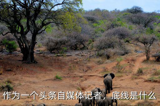 作為一個(gè)頭條自媒體記者，底線是什么