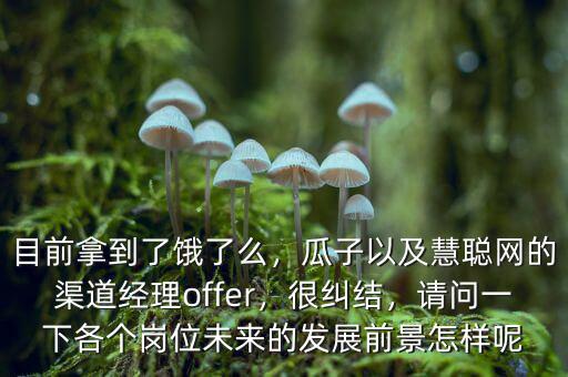 目前拿到了餓了么，瓜子以及慧聰網(wǎng)的渠道經(jīng)理offer，很糾結(jié)，請(qǐng)問一下各個(gè)崗位未來的發(fā)展前景怎樣呢