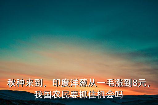 秋種來(lái)到，印度洋蔥從一毛漲到8元，我國(guó)農(nóng)民要抓住機(jī)會(huì)嗎