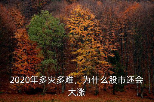 2020年多災多難，為什么股市還會大漲