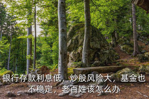 銀行存款利息低，炒股風險大，基金也不穩(wěn)定，老百姓該怎么辦