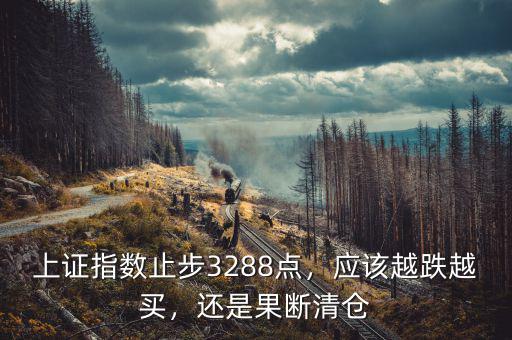 上證指數(shù)止步3288點(diǎn)，應(yīng)該越跌越買，還是果斷清倉