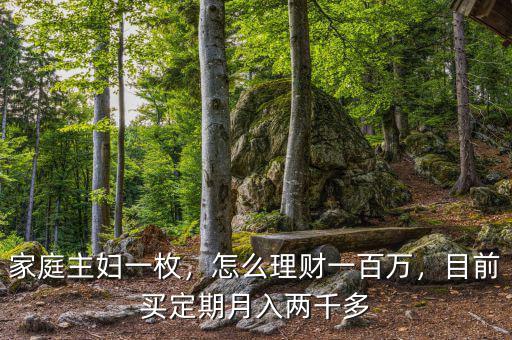 家庭主婦一枚，怎么理財(cái)一百萬，目前買定期月入兩千多