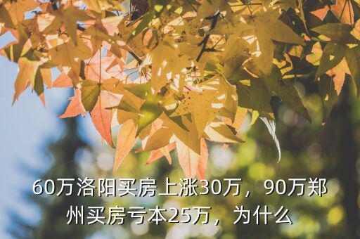 60萬洛陽買房上漲30萬，90萬鄭州買房虧本25萬，為什么