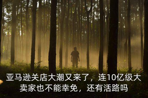 亞馬遜關(guān)店大潮又來(lái)了，連10億級(jí)大賣家也不能幸免，還有活路嗎