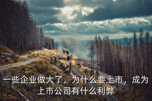 一些企業(yè)做大了，為什么要上市，成為上市公司有什么利弊