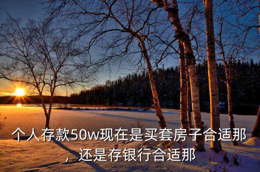 個(gè)人存款50w現(xiàn)在是買套房子合適那，還是存銀行合適那