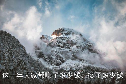 這一年大家都賺了多少錢，攢了多少錢