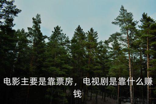 電影主要是靠票房，電視劇是靠什么賺錢