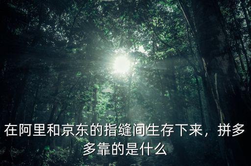 在阿里和京東的指縫間生存下來，拼多多靠的是什么