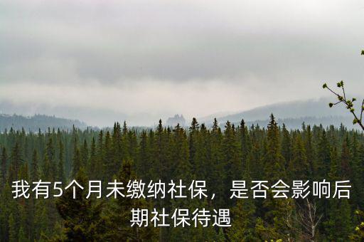 我有5個月未繳納社保，是否會影響后期社保待遇