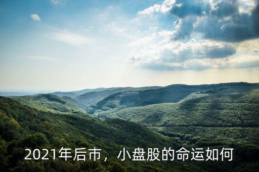 2021年后市，小盤股的命運(yùn)如何
