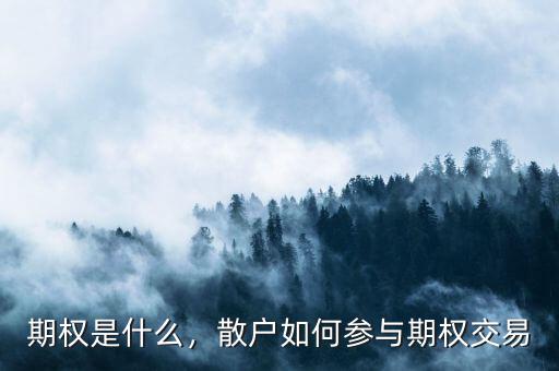 期權(quán)是什么，散戶如何參與期權(quán)交易
