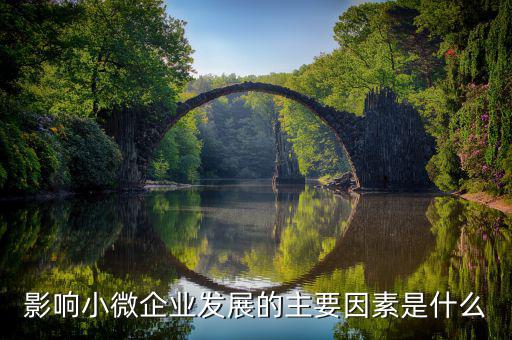 小微企業(yè)對我國社會產生了什么影響,對小公司有什么影響