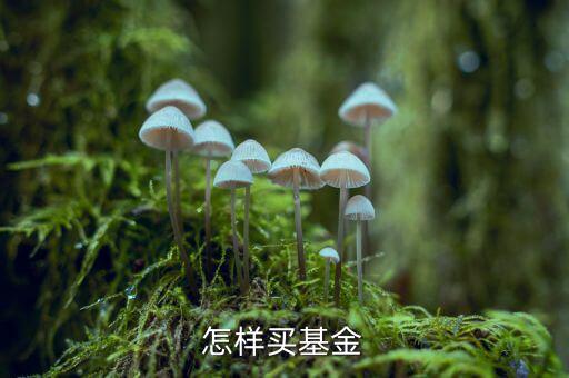怎樣買(mǎi)基金