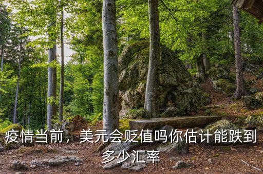 疫情當(dāng)前，美元會(huì)貶值嗎你估計(jì)能跌到多少匯率