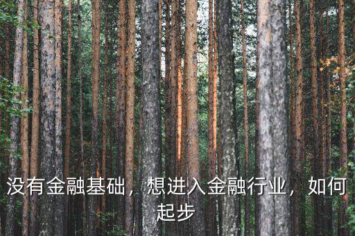 沒有金融基礎(chǔ)，想進(jìn)入金融行業(yè)，如何起步